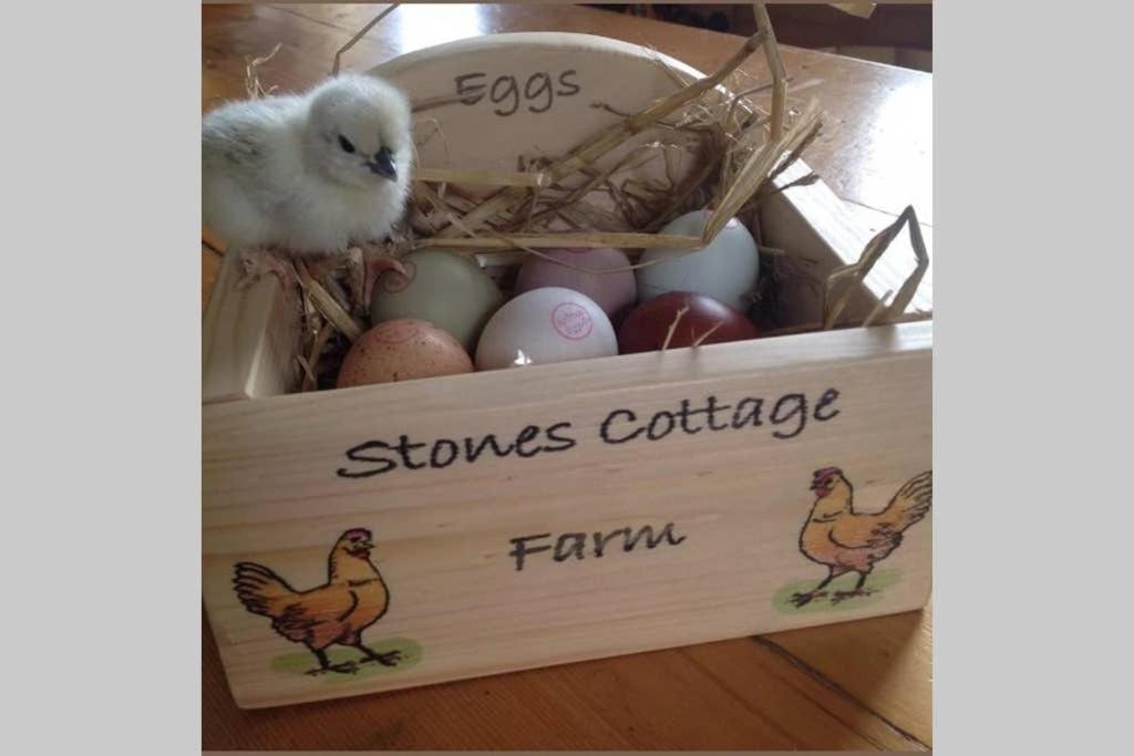 Stones Cottage Farm, Nr Haworth, Family Friendly, Work Friendly, Gaming Barn, Crafting, Free Wifi, Free Parking, Ev Point Oxenhope Eksteriør billede